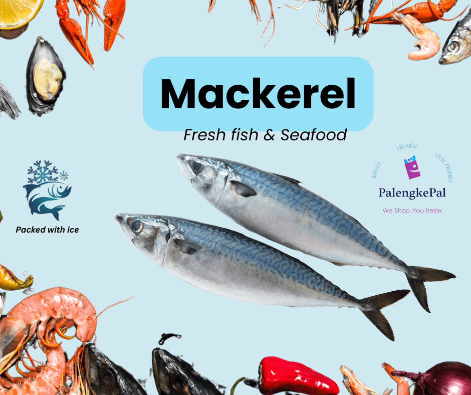 Mackerel