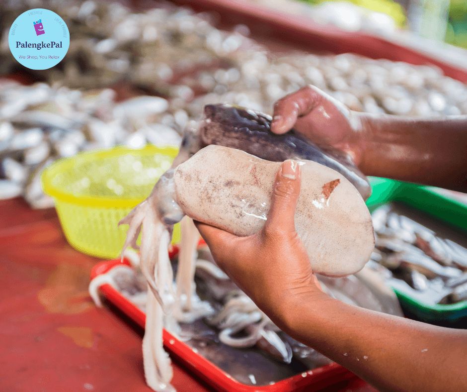 Pusit ( For Grilling)