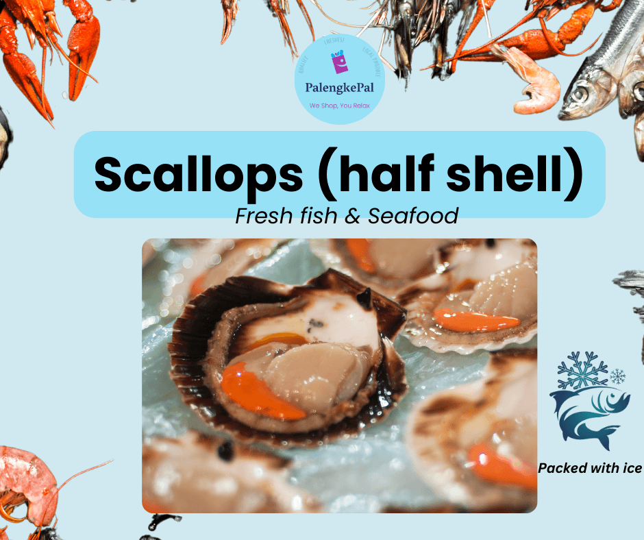 Scallops (Half shell)