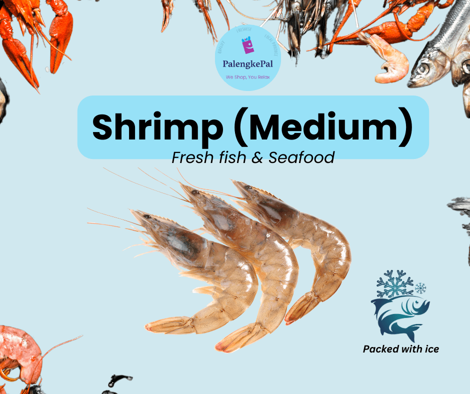 Shrimp/Suahe (Medium)