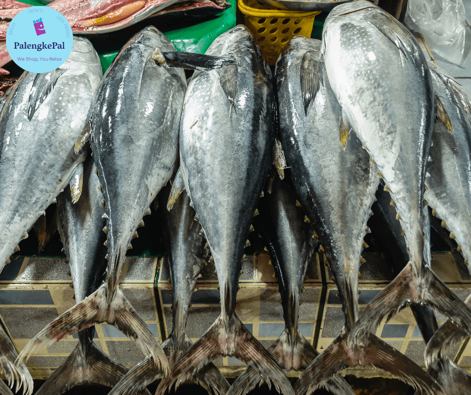 Tambakol/ Yellowfin Tuna