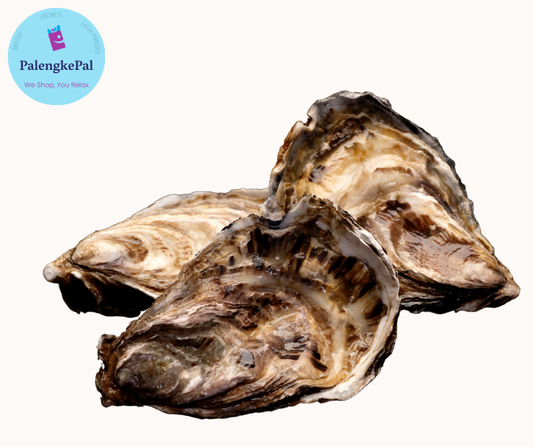 Oysters (Full shell)