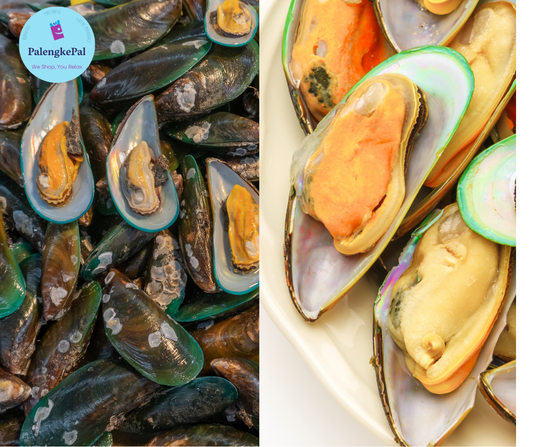 Tahong/ Mussels (Small- Medium)